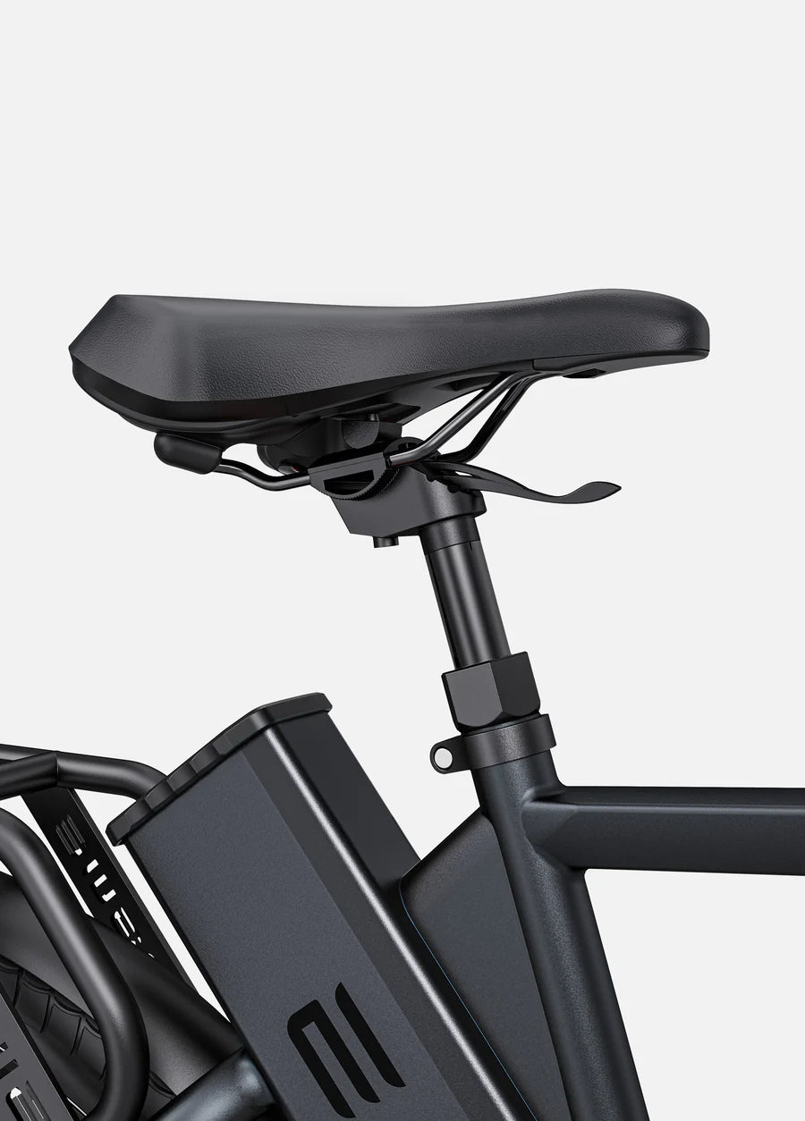 EBIKE TREKKING CITYBIKE ENGWE P275 Pro