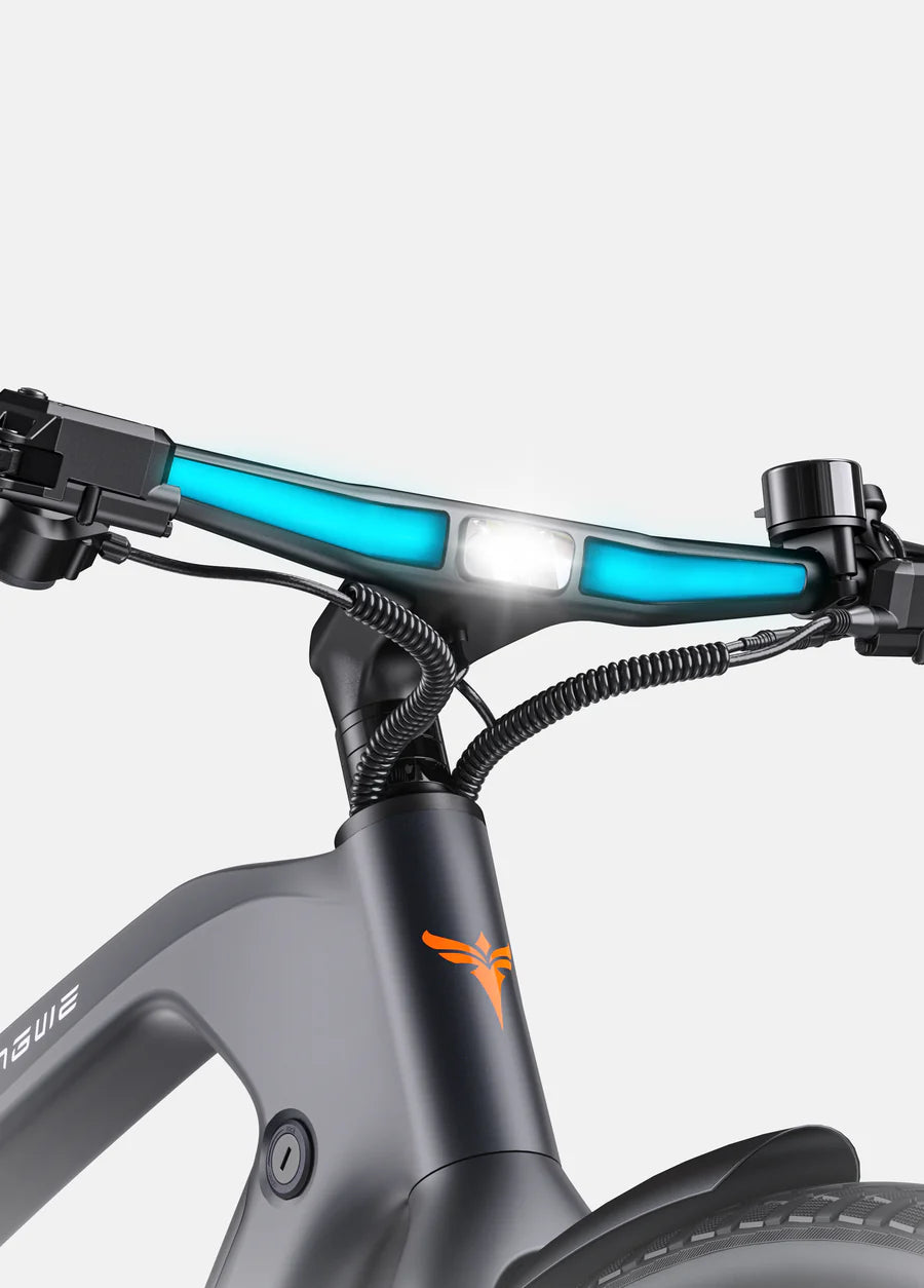 EBIKE TREKKING CITYBIKE ENGWE N1 Pro
