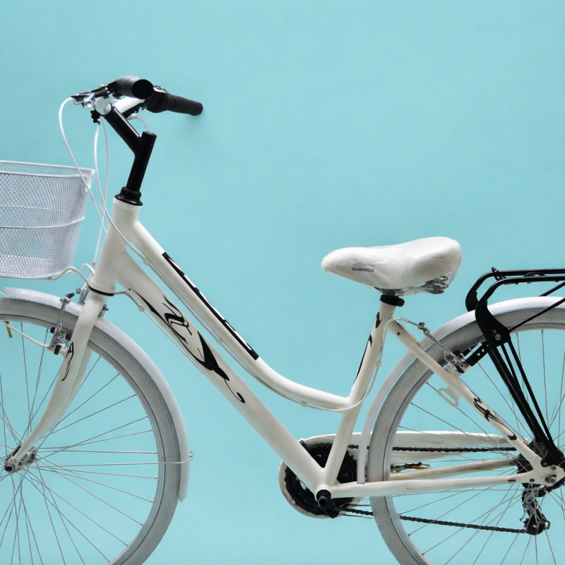 bici 28 donna in alluminio trekking city bike shimano 6v bianca personalizzata