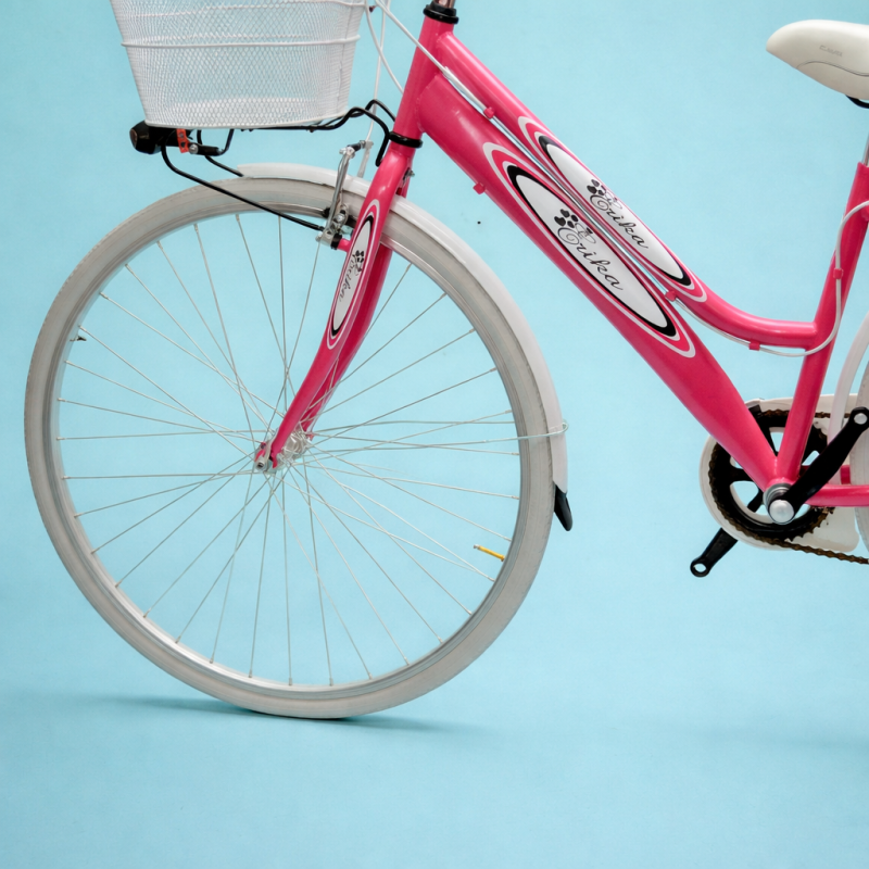 bici 28 donna in alluminio trekking city bike shimano 6v fucsia personalizzato