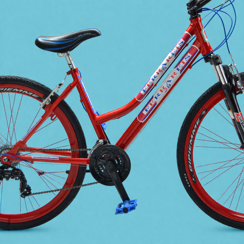 Bici Ibrida 28 Donna Shimano 21 Velocità City Bike Trekking Alluminio Rosso personalizzabile