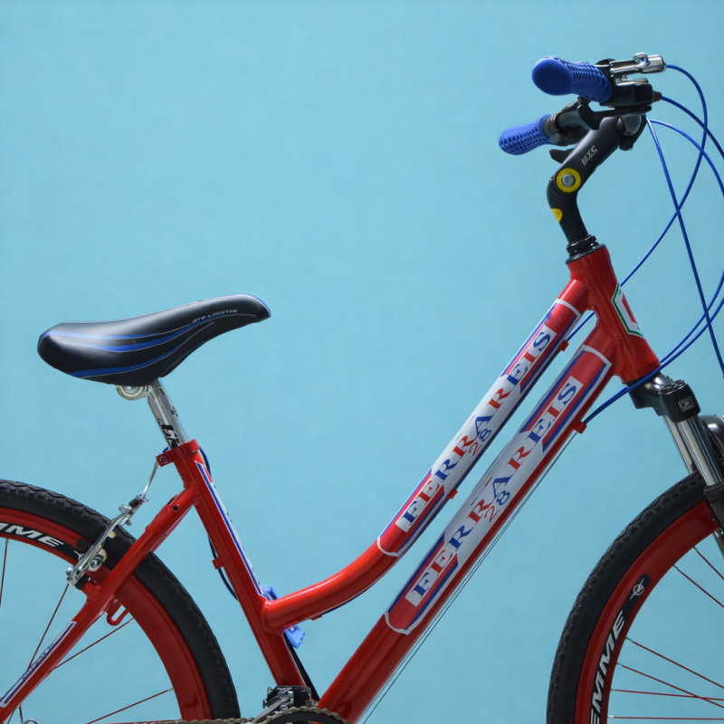 Bici Ibrida 28 Donna Shimano 21 Velocità City Bike Trekking Alluminio Rosso personalizzabile