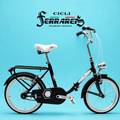 Bici Pieghevole 20" Nero, Bianco e Acciaio — Shimano Nexus, Personalizzabile