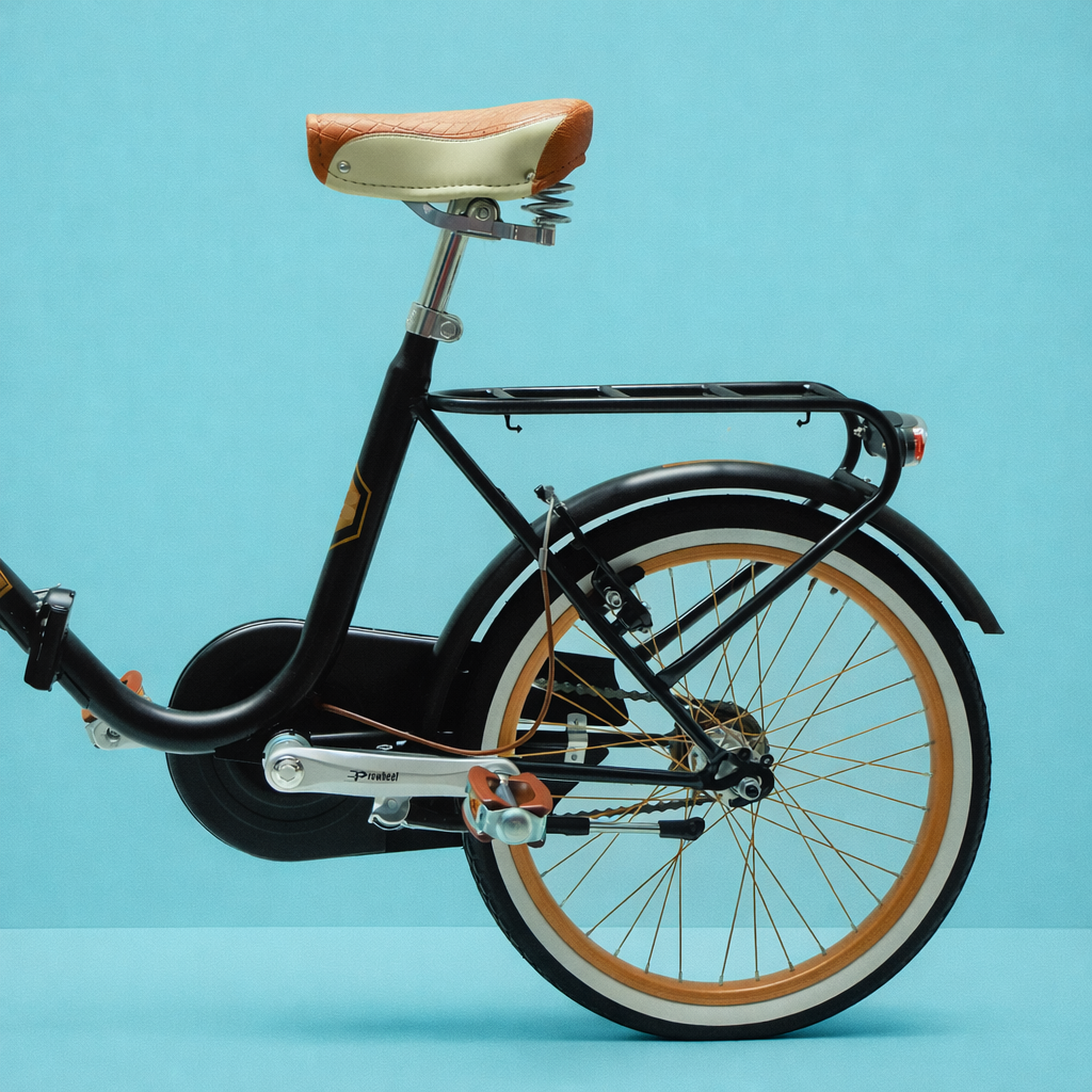 Bici Pieghevole 20" Nero e Marrone — Shimano Nexus, Personalizzabile