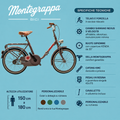 bicicletta 20 pieghevole