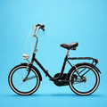 Bici Pieghevole 20" Nero e Acciaio — Shimano Nexus, Personalizzabile