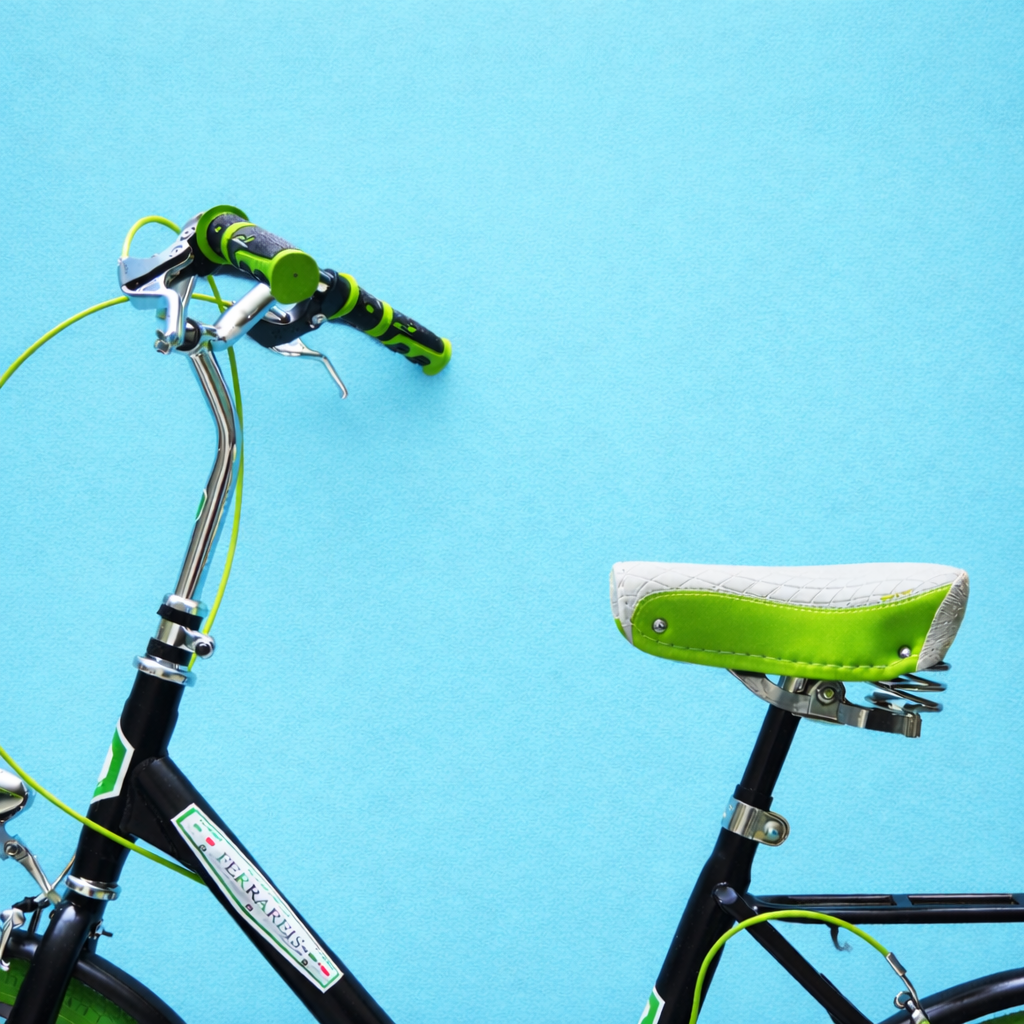 Bici Pieghevole 20" Nero, Verde e Acciaio — Shimano Nexus, Personalizzabile
