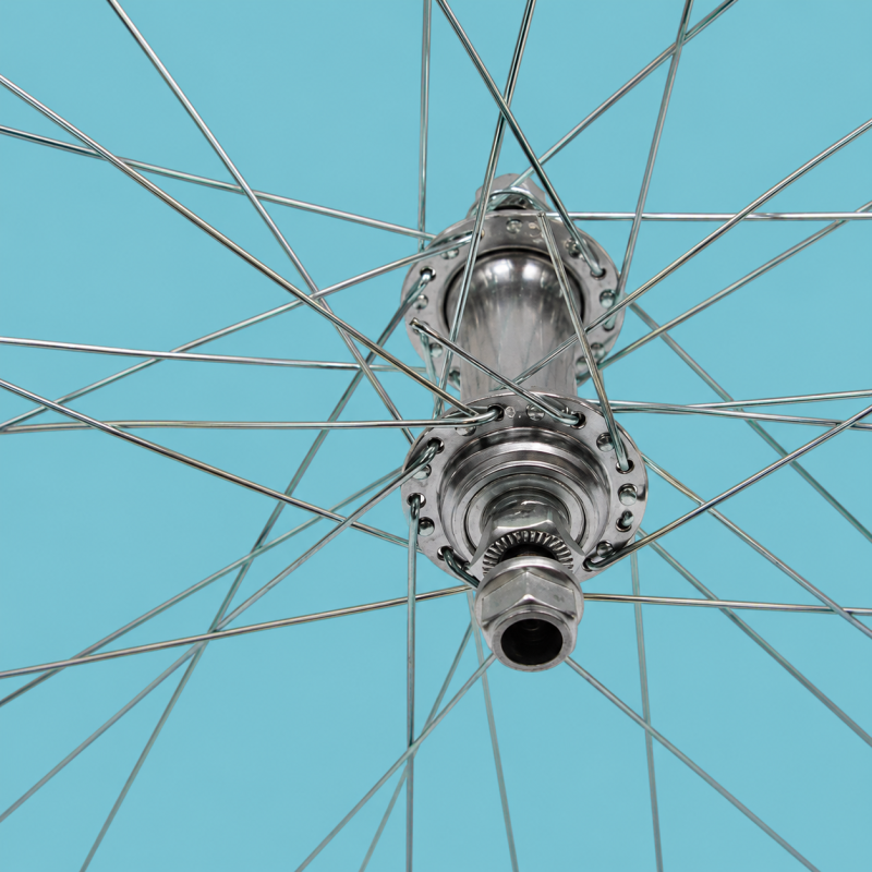 cerchi bici bicicletta 28 700x35 + pignone 7v personalizzabile