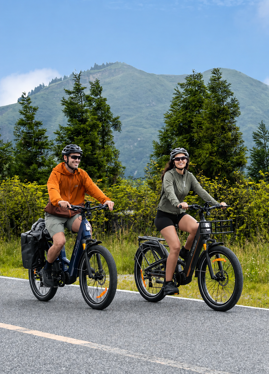 ebike engwe E26 3.0 Pro