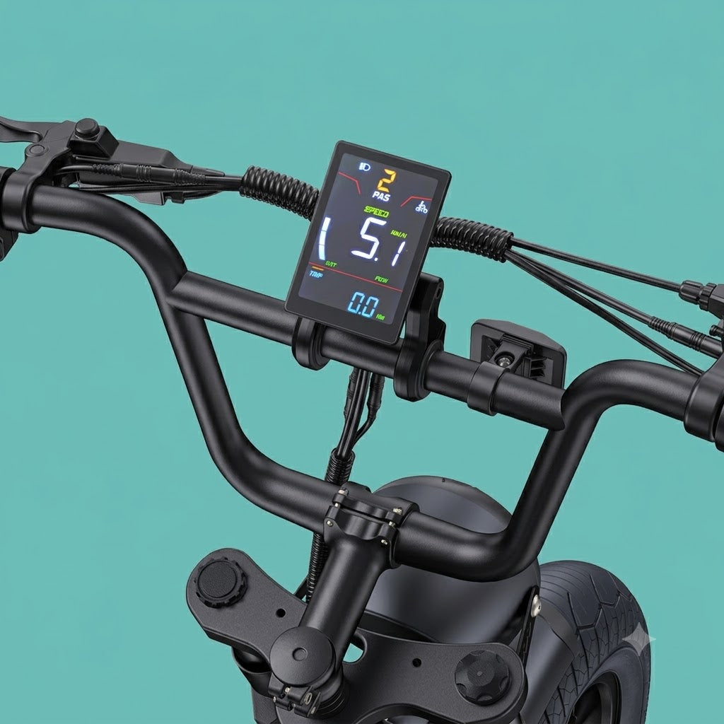 ebike ChOPPER engwe M1 doppia batteria