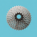 Pignone 9 Velocità shimano