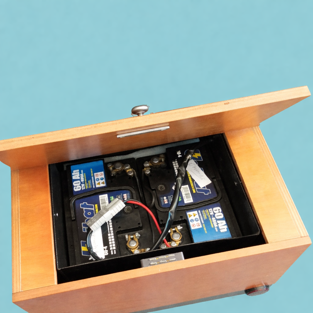 Bici Risciò Elettrico Personalizzabile 24V - Veicolo Turistico