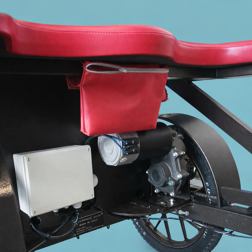 Bici Risciò Elettrico Personalizzabile 24V - Veicolo Turistico