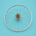 Ruota 26 alluminio 7 v
