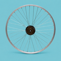 Ruota bici mtb posteriore 24x1.95 6 velocità shimano