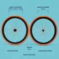 Ruote 28 o cerchi fixed single speed scatto fisso 1v personalizzabile