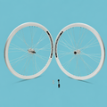 Ruote o cerchi 28x1.3/8-5/8 fixed 1v bianchi Gipiemme 40mm personalizzabile