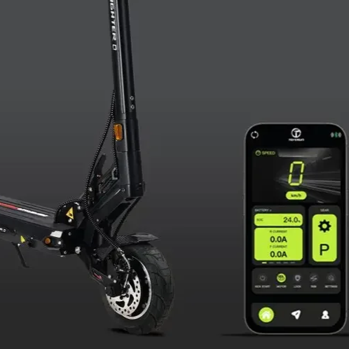 Teverun Fighter Q - Monopattino Elettrico Dual Motor 2500W